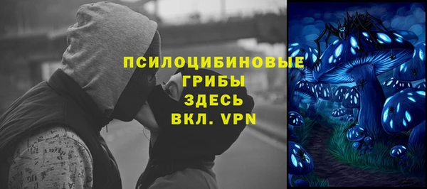 ешки Аркадак