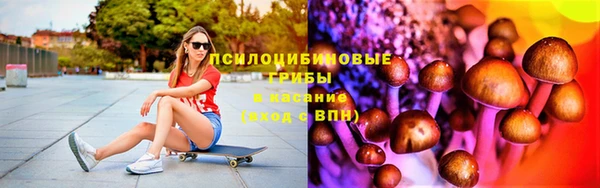 прущие грибы Армянск