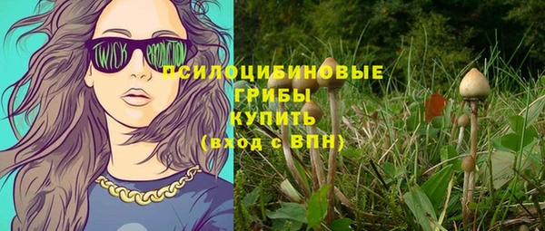 ешки Аркадак