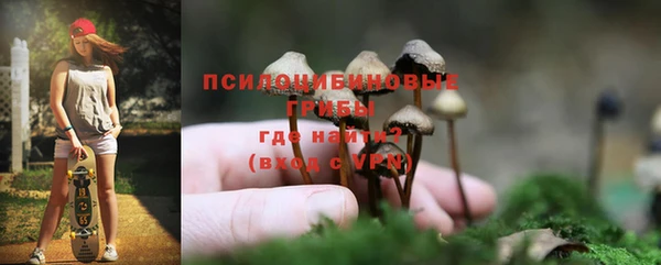 прущие грибы Армянск