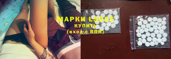 прущие грибы Армянск