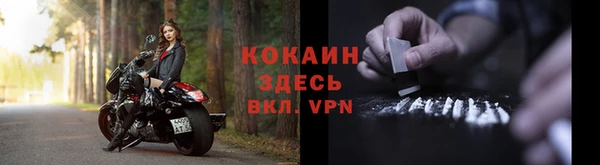 ешки Аркадак
