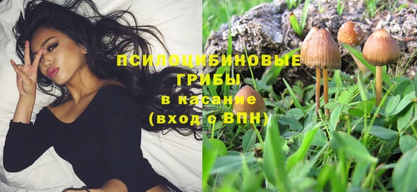 ешки Аркадак