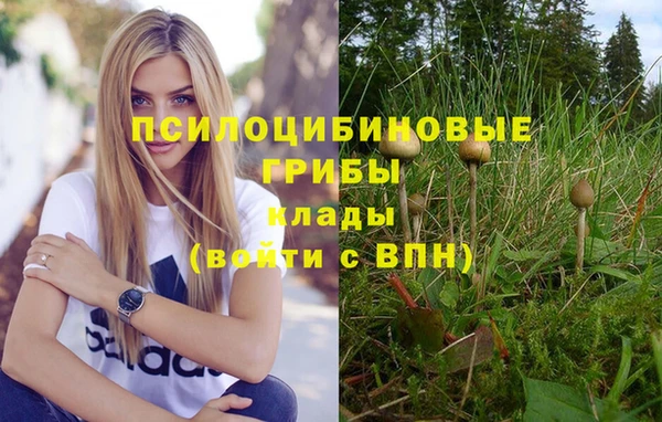 ешки Аркадак