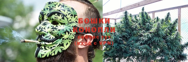 прущие грибы Армянск