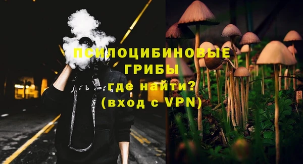 ешки Аркадак