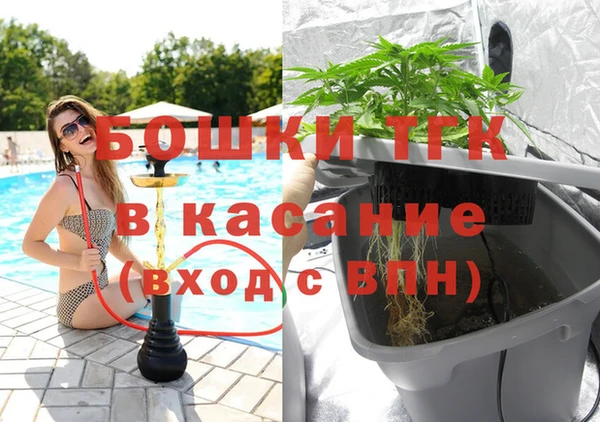 прущие грибы Армянск