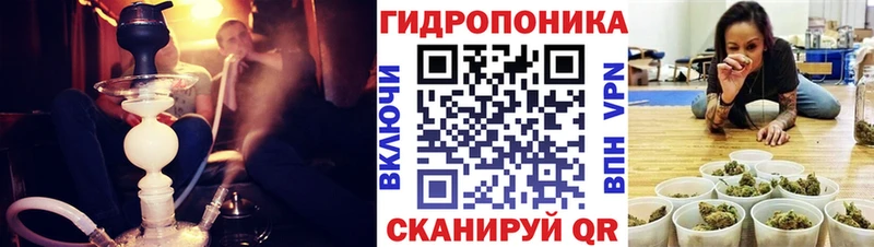 Бошки марихуана план  наркота  Родники 